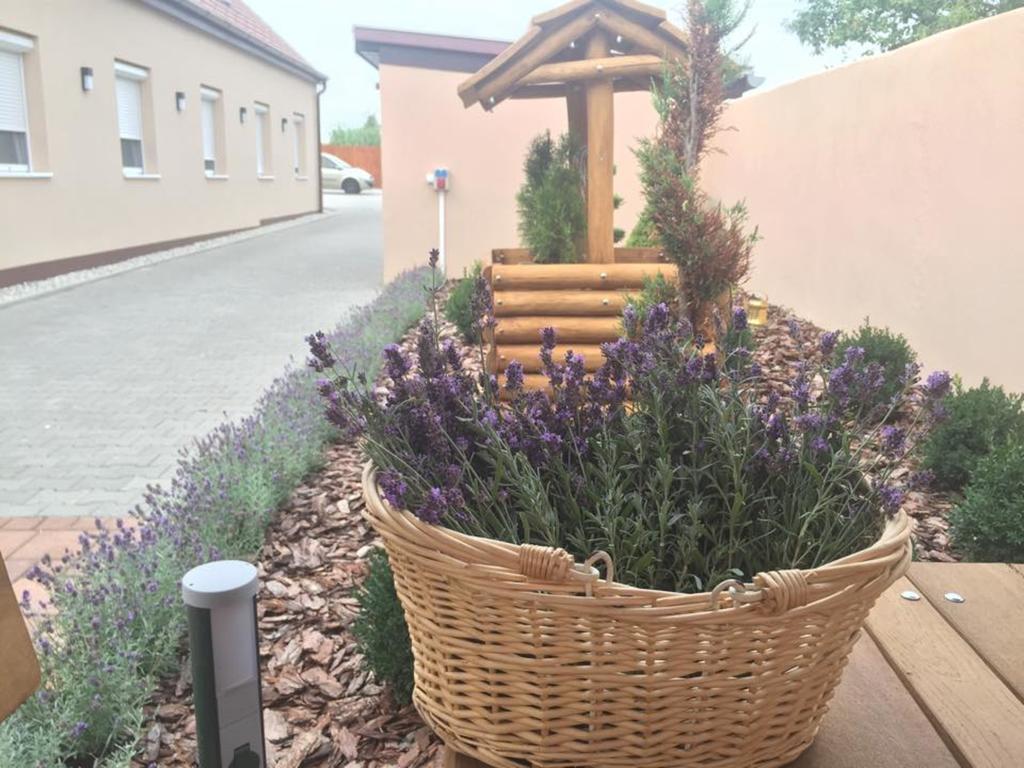 Levendula Vendeghaz Hotell Győr Eksteriør bilde